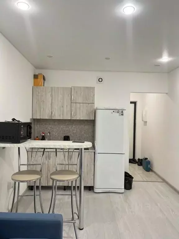 Студия Ленинградская область, Мурино Всеволожский район, просп. ... - Фото 2