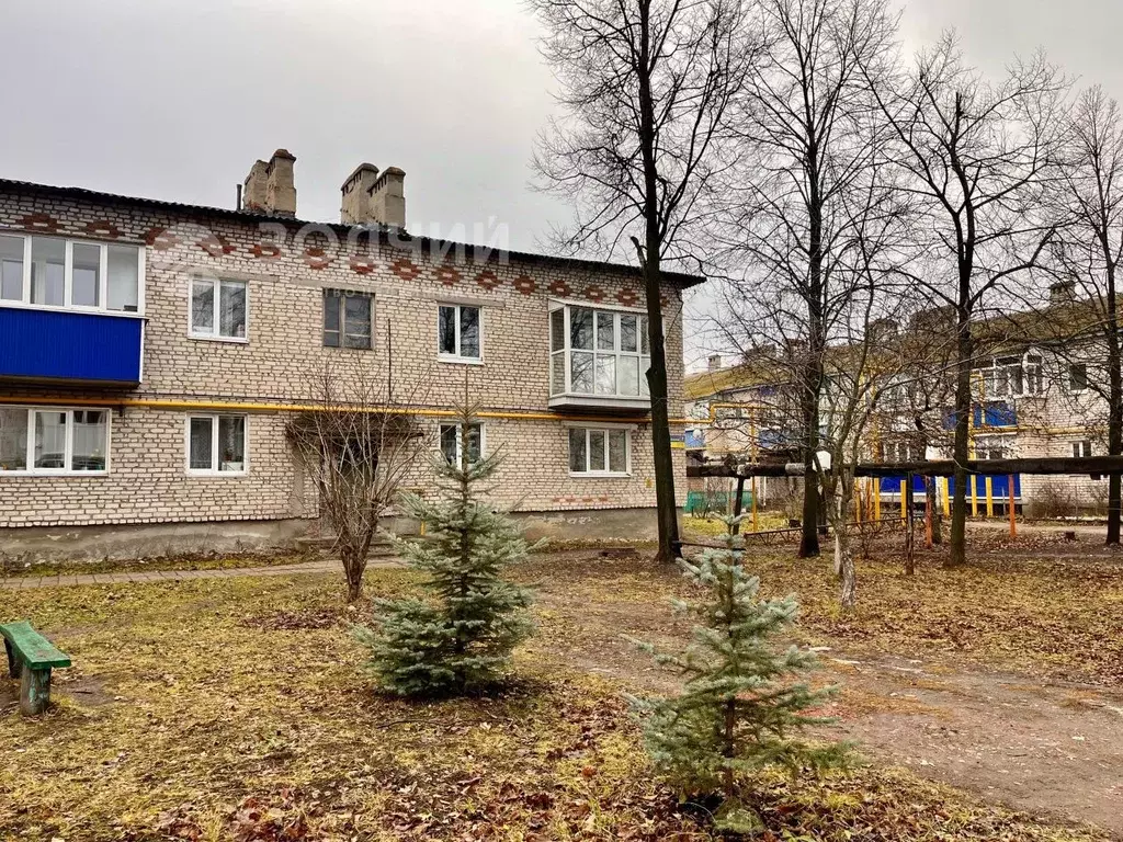 2-к кв. Чувашия, Канаш Элеватор тер., 7 (40.8 м) - Фото 0