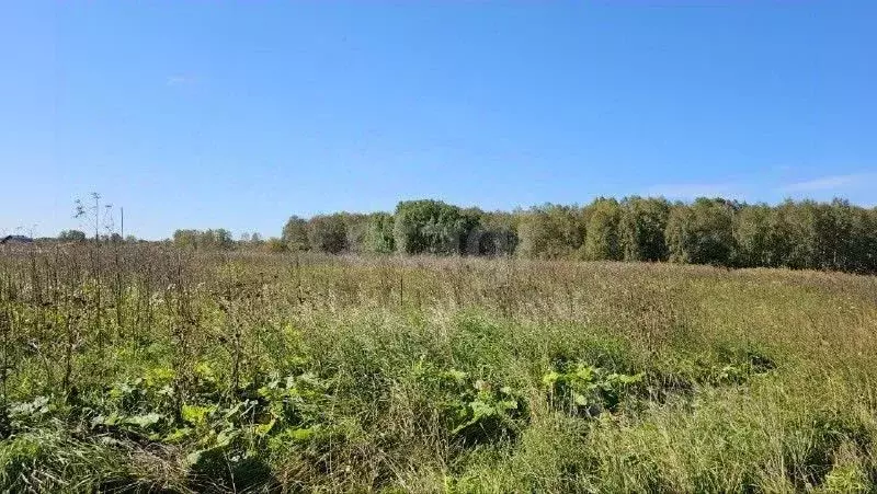 Участок в Тюменская область, Нижнетавдинский муниципальный округ, ... - Фото 1