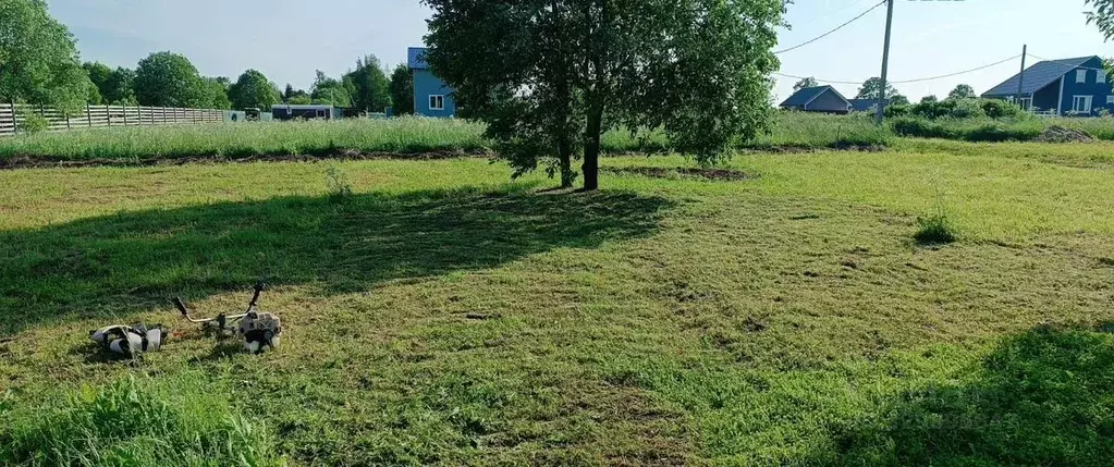 Участок в Ленинградская область, Гатчинский муниципальный округ, ... - Фото 1
