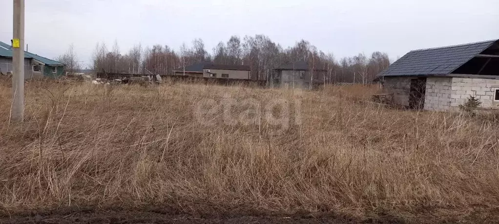 Участок в Кемеровская область, Кемеровский район, с. Андреевка ... - Фото 1