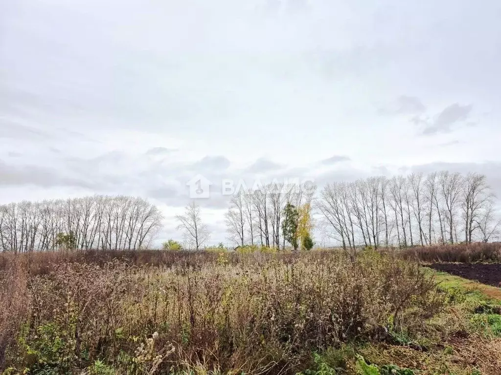 Участок в Башкортостан, Стерлитамакский район, Айгулевский сельсовет, ... - Фото 2