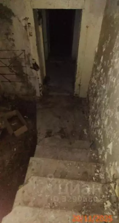 Помещение свободного назначения в Нижегородская область, Нижний ... - Фото 1