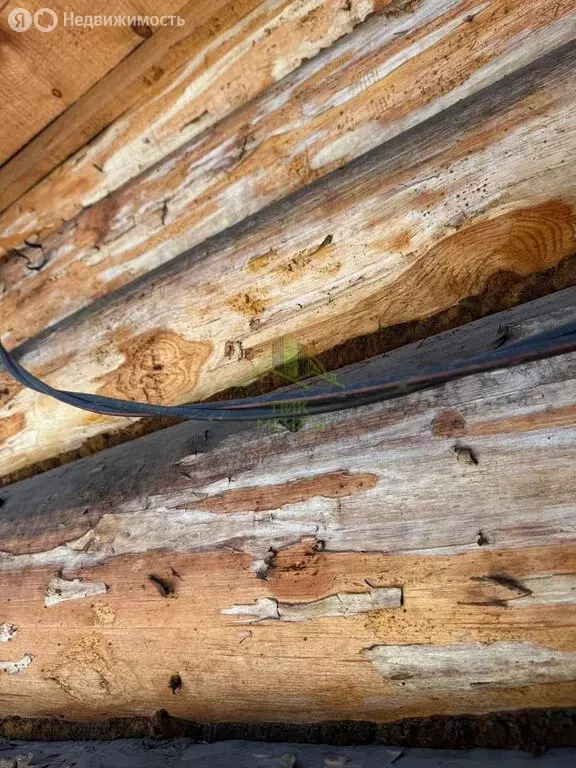 Дом в Баргузинский район, село Макаринино (Башарово), Лесная улица (63 ... - Фото 2