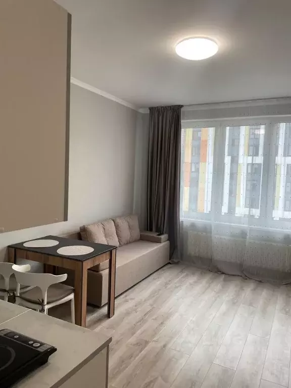 Студия Московская область, Химки городской округ, д. Рузино, ... - Фото 1