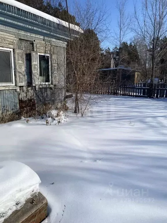 Дом в Амурская область, с. Ивановка ул. Кирова, 53 (35 м) - Фото 1