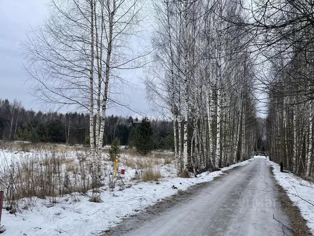 Участок в Владимирская область, Судогодский район, Лавровское ... - Фото 0