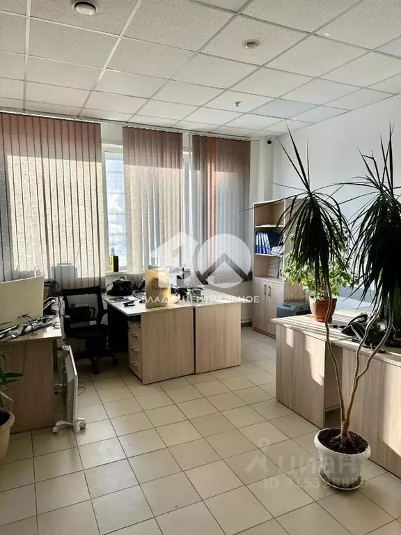Офис в Новосибирская область, Новосибирск ул. Фрунзе, 88 (84 м) - Фото 1