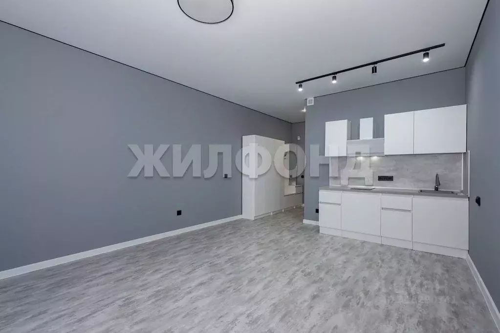 Студия Новосибирская область, Новосибирск ул. Фадеева, 66/4 (31.0 м) - Фото 0