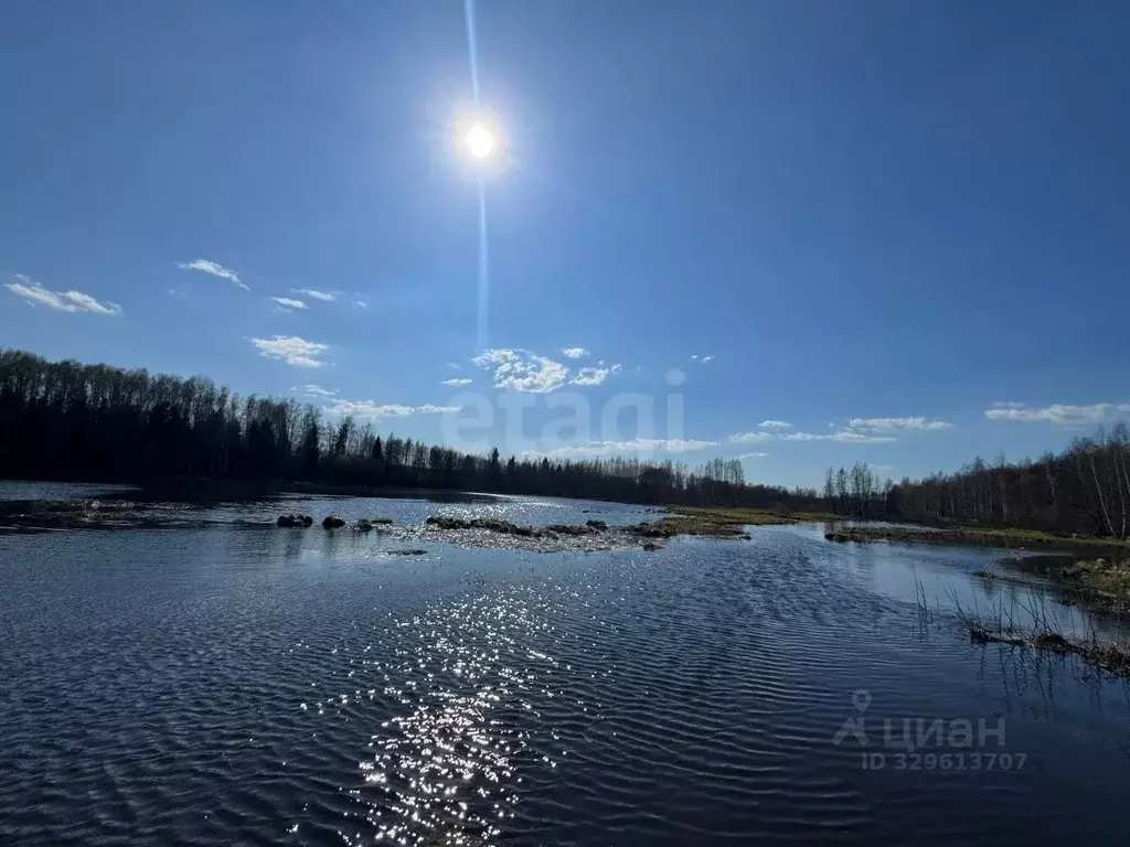 Участок в Владимирская область, Петушинский муниципальный округ, д. ... - Фото 2