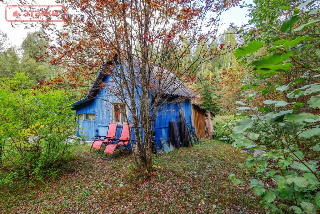 Дом в Деревянское сельское поселение, СНТ Гея (20 м) - Фото 2