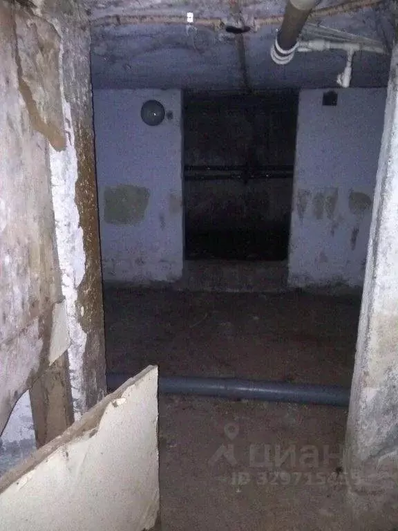 Помещение свободного назначения в Пермский край, Пермь ул. Степана ... - Фото 1