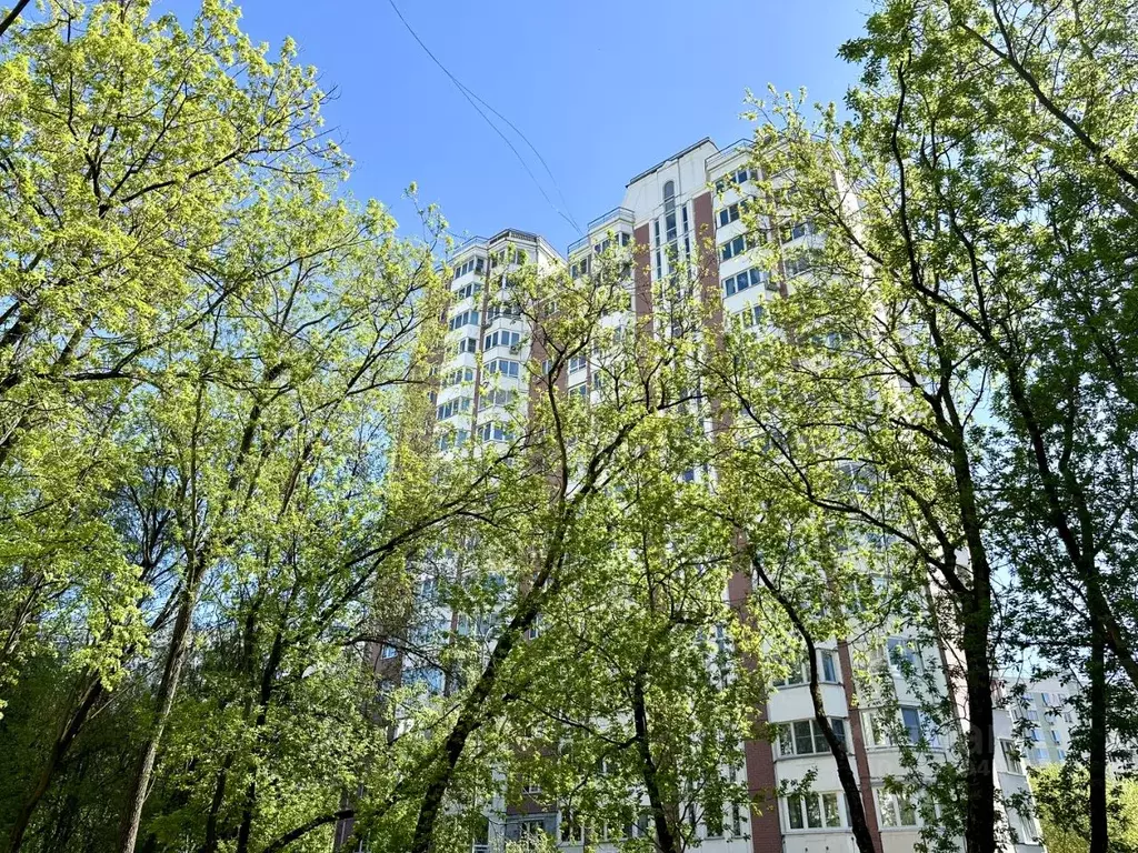 1-к кв. Москва ул. Свободы, 63к1 (40.0 м) - Фото 1