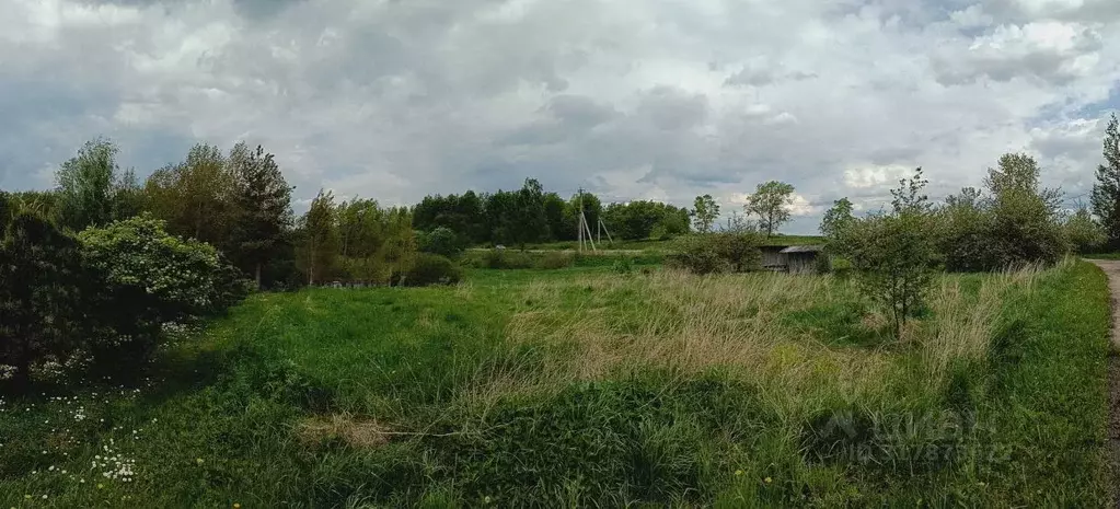 Участок в Псковская область, Великолукский район, Переслегинская ... - Фото 1