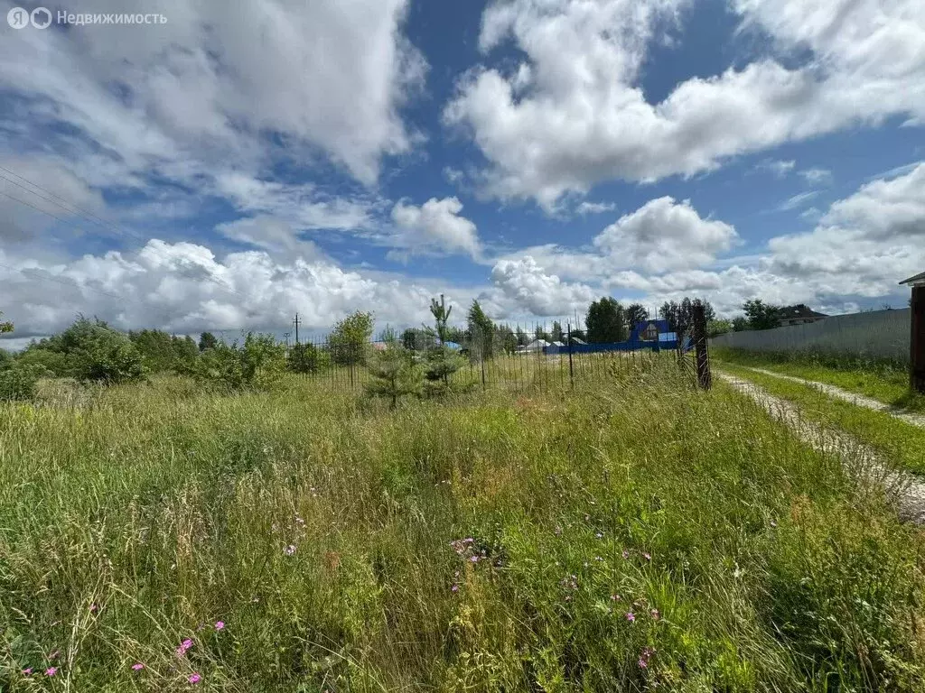 Участок в Владимирская область, округ Муром, деревня Александровка ... - Фото 1