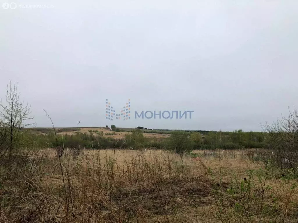 Участок в городской округ Нижний Новгород, село Слободское (25 м) - Фото 0