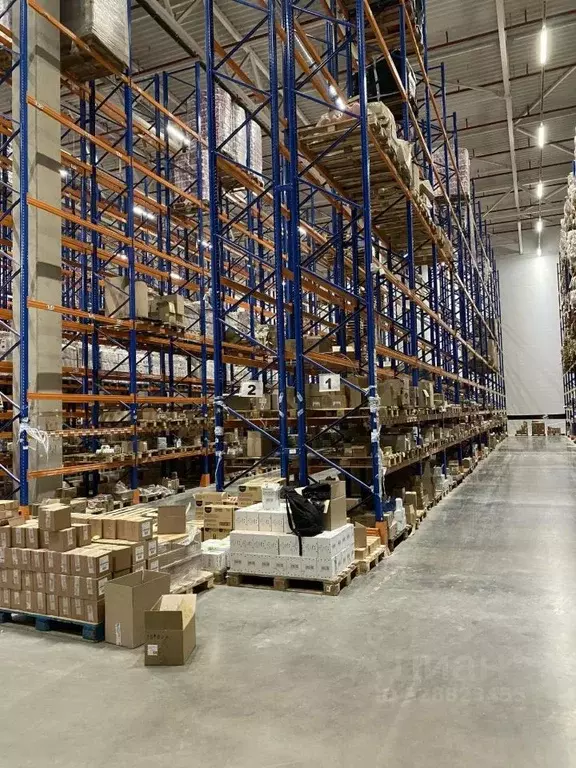 Склад в Московская область, Домодедово городской округ, д. Данилово 69 ... - Фото 2