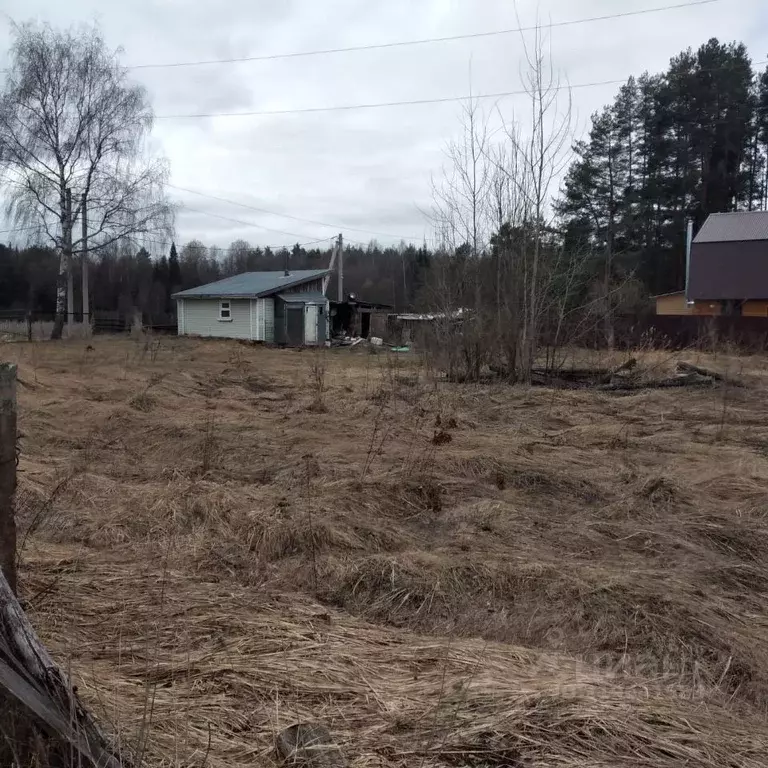 Участок в Костромская область, Красносельский район, Боровиковское ... - Фото 1