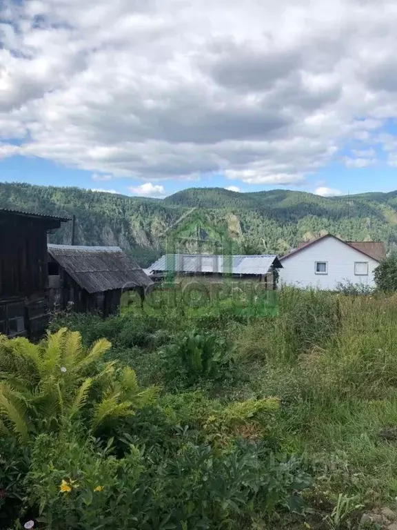 Дом в Красноярский край, Дивногорск Пихтовая ул., 20 (50 м) - Фото 0