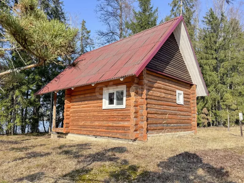 Дом в Псковская область, Гдовский район, Полновская волость, д. Глушь  ... - Фото 1