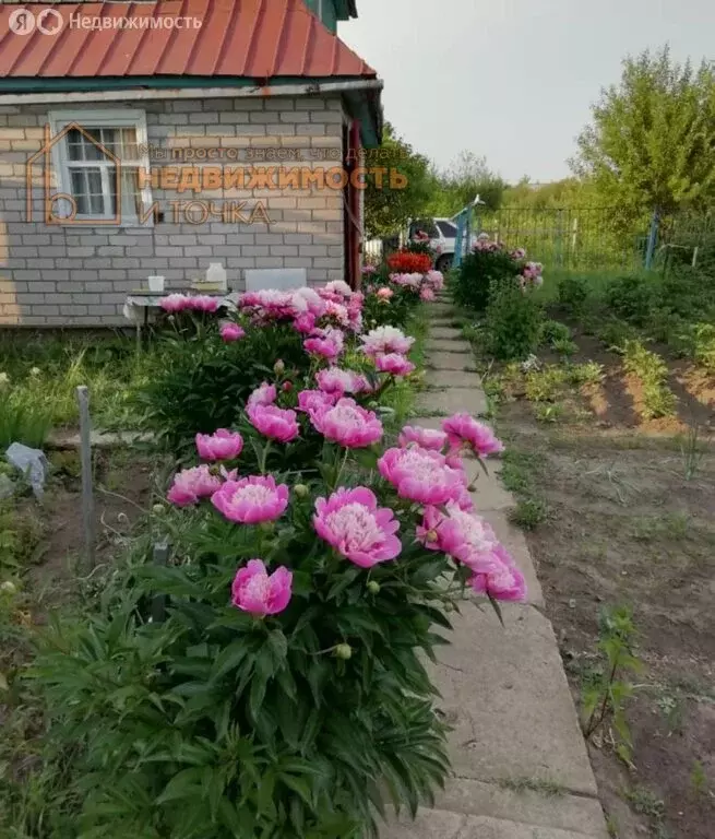 Дом в Ташкиново, СНТ Радуга-2, 21-я улица (26 м) - Фото 1