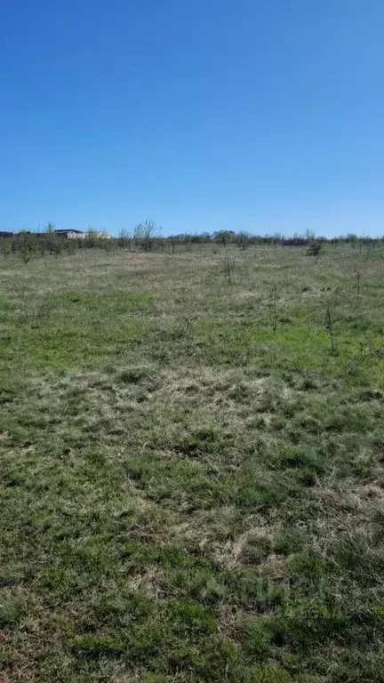 Участок в Крым, Симферопольский район, с. Доброе ул. Юрия Османова, 2 ... - Фото 0