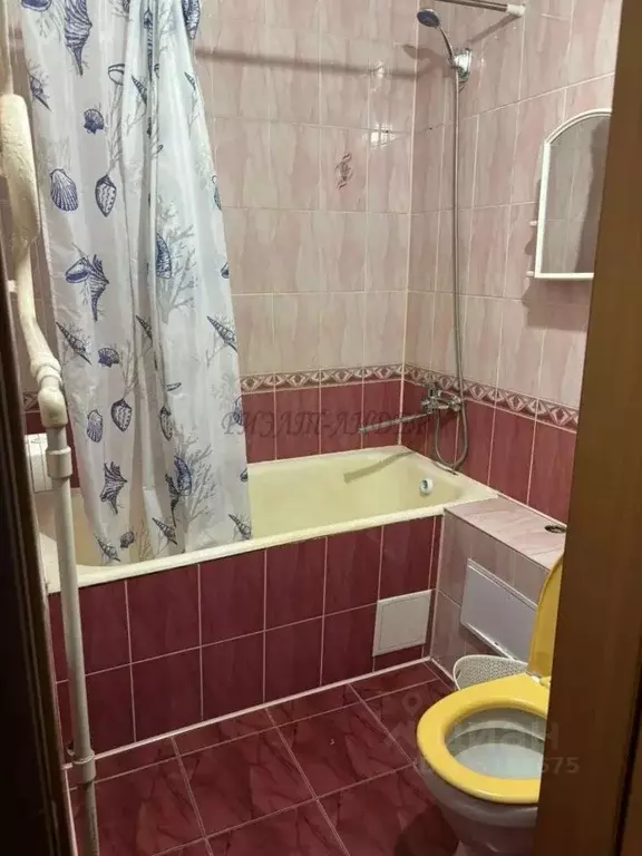 Студия Алтай, Горно-Алтайск Коммунистический просп., 2 (30.0 м) - Фото 2