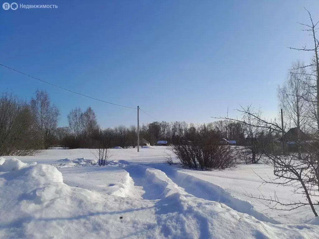 Участок в Вологодская область, Шекснинский муниципальный округ, ... - Фото 2