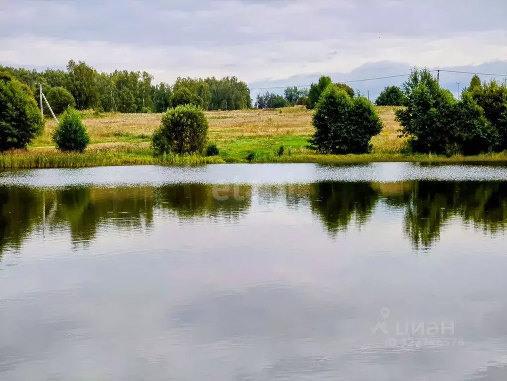 Участок в Нижегородская область, Дальнеконстантиновский муниципальный ... - Фото 1