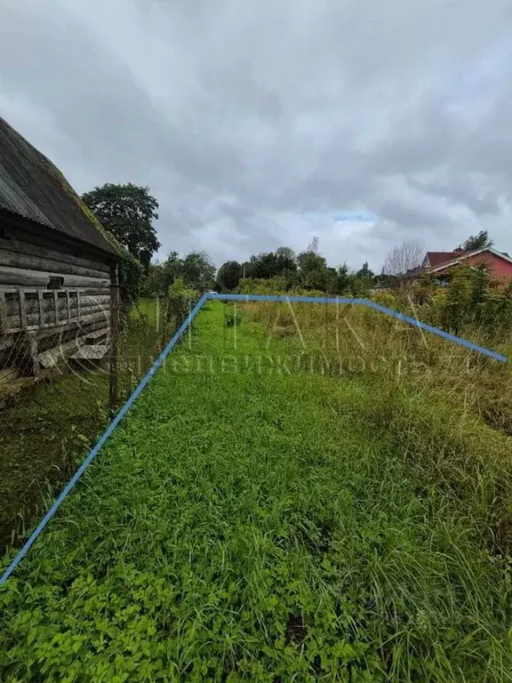 Участок в Ленинградская область, Кингисеппский район, Котельское ... - Фото 1