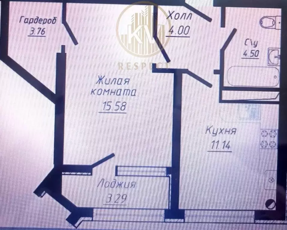 1-к кв. Ставропольский край, Кисловодск ул. 40 лет Октября, 37 (42.27 ... - Фото 1