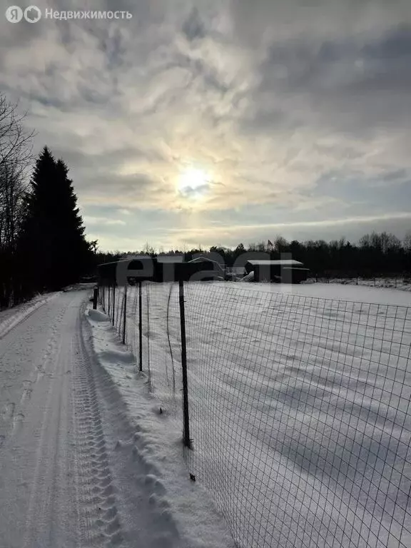 Участок в Псковский район, Ядровская волость, деревня Хахино (20.98 м) - Фото 1