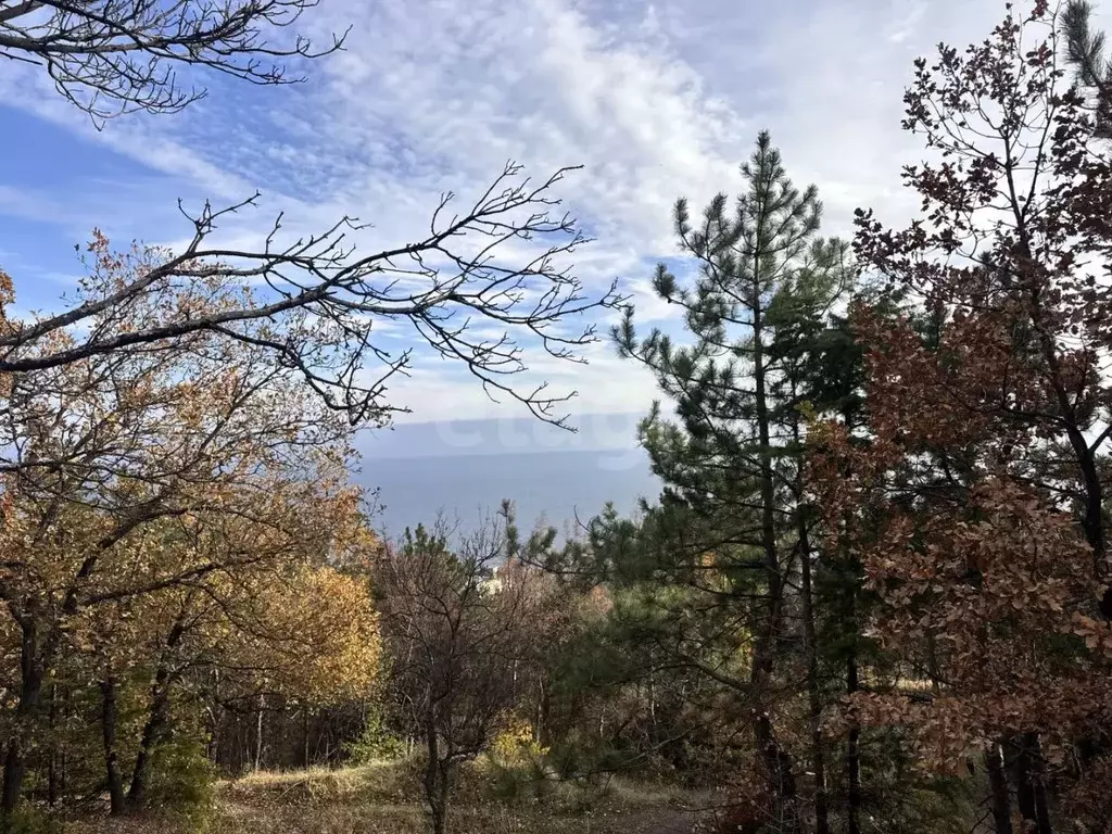 Участок в Крым, Алупка ул. Калинина (9.0 сот.) - Фото 2