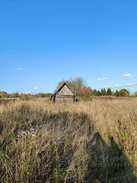Участок в Вологодская область, д. Озерково (Спасский сельсовет)  (11.0 ... - Фото 1