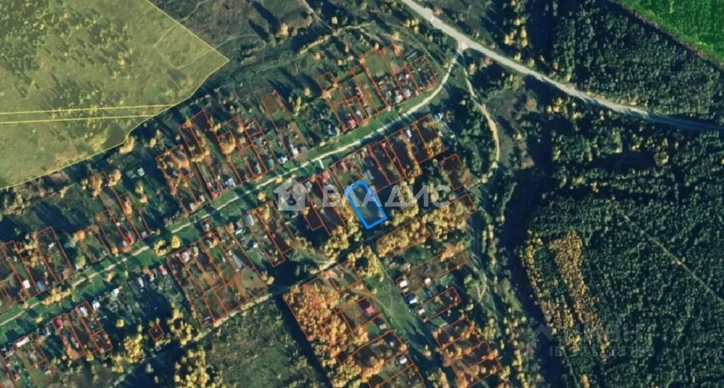 Участок в Владимирская область, Суздальский район, Селецкое ... - Фото 1