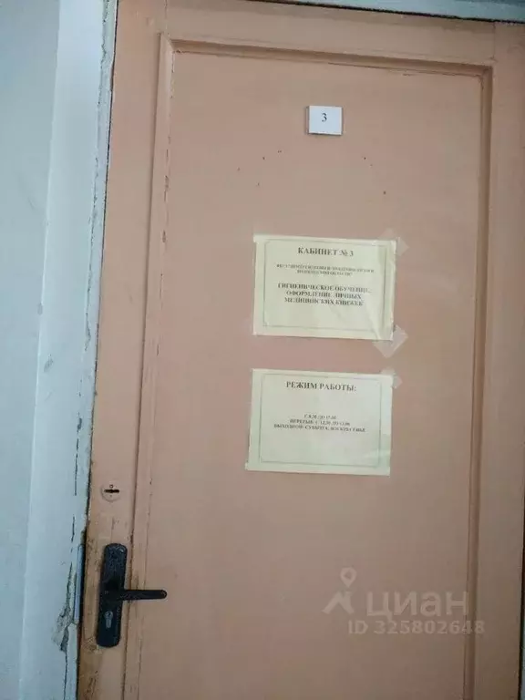 Помещение свободного назначения в Вологодская область, Грязовец ул. ... - Фото 1