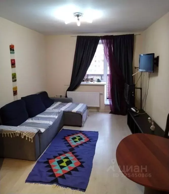 Студия Санкт-Петербург просп. Металлистов, 117 (26.0 м) - Фото 1