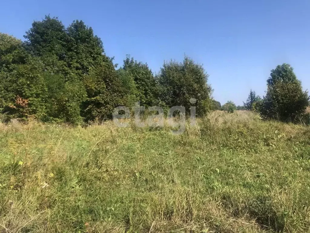 Участок в Брянская область, Навлинский район, Синезерское с/пос, с. ... - Фото 1