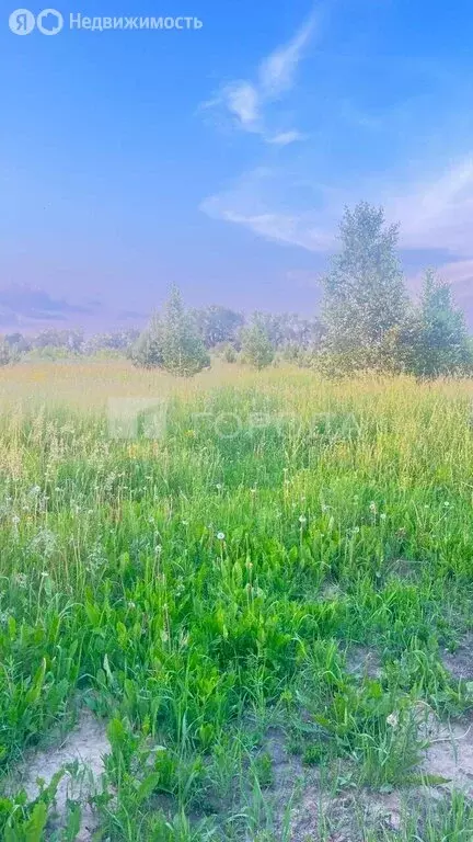 Участок в Первомайский район, посёлок Новый, улица Маяковского (12 м) - Фото 2