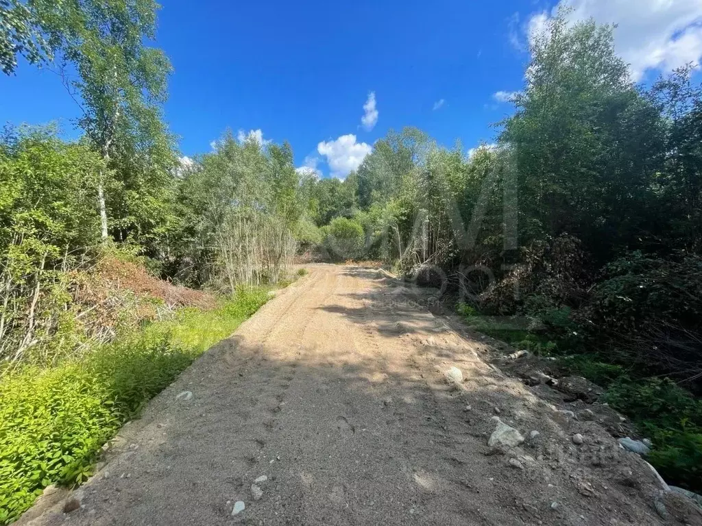Участок в Ленинградская область, Приозерское городское поселение, пос. ... - Фото 2
