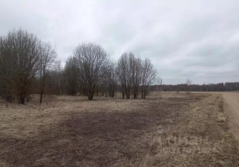 Участок в Московская область, Дмитровский муниципальный округ, д. ... - Фото 0