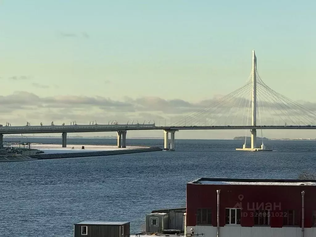 1-к кв. Санкт-Петербург Петровский просп., 28к2 (44.0 м) - Фото 2