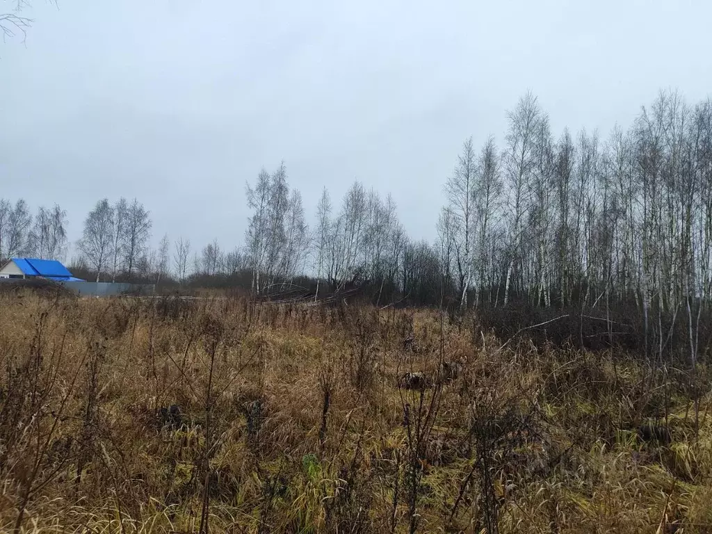 Участок в Московская область, Раменский муниципальный округ, д. ... - Фото 1