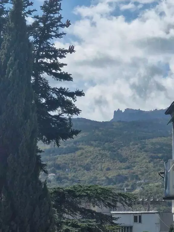 1-к кв. Крым, Ялта ул. Красных Партизан, 11 (34.8 м) - Фото 1