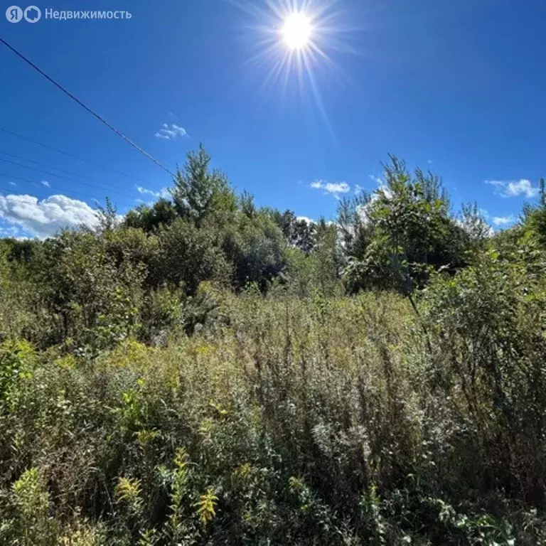 Участок в Хабаровск, Луганская улица (9.889999 м) - Фото 0