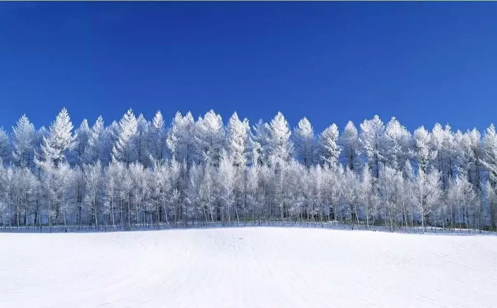 Участок в Хабаровский край, Комсомольск-на-Амуре  (10.0 сот.) - Фото 0