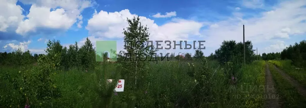 Участок в Красноярский край, Емельяновский район, Элитовский ... - Фото 1