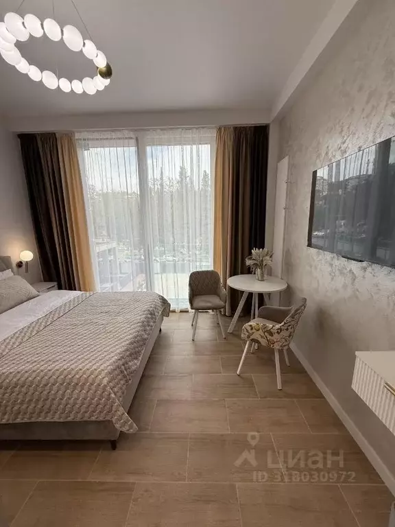 1-к кв. Краснодарский край, Сочи ул. Ленина, 219 (24.0 м) - Фото 1