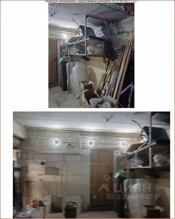 Офис в Новосибирская область, Новосибирск Беловежская ул., 10а (79 м) - Фото 2