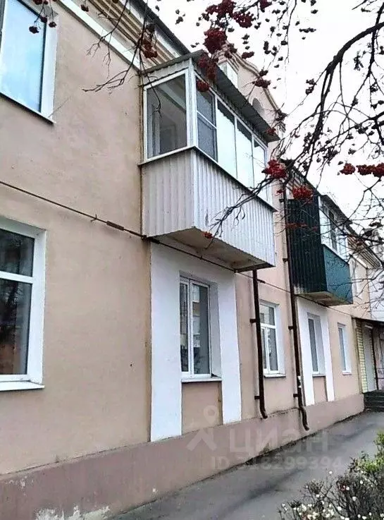1-к кв. Орловская область, Ливны ул. Дзержинского, 101 (34.0 м) - Фото 0